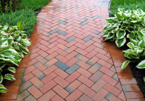 Clay Paving Blocks
